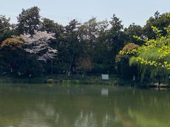-八卦田遗址公园
