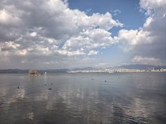 -洱海月湿地公园