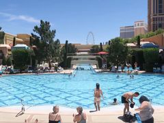 -拉斯维加斯永利酒店