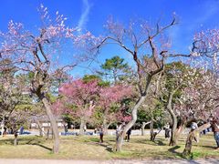 -京都御所