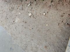 -东寨港红树林旅游区