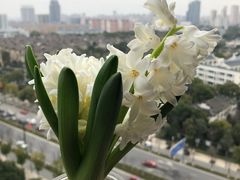 -岽锦泰禾影城(海星广场店)