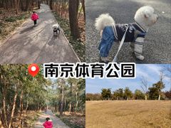 -钟山体育运动公园