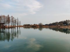 -贡湖湾湿地公园