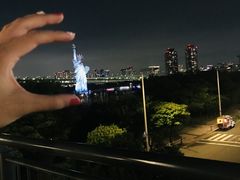 -台场海滨公园船码头