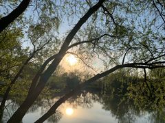 -菲住布渴酒店自助餐厅(阿里巴巴西溪园区店)