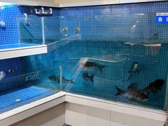 -小隐院子·庭院餐厅(大学城后湖店)