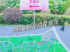 -顾村公园
