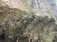 -广州市帽峰山景区