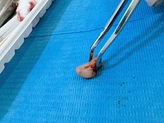 -岳辰齿科(浦东长泰店)