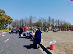 -春花秋色城市公园