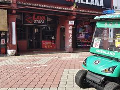 -荷兰红屋