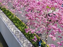 -深圳湾万象城(南山店)