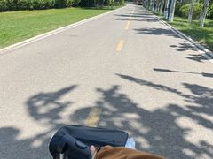 -乌素图国家森林公园