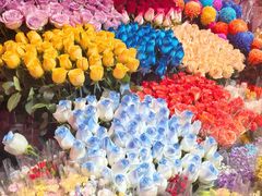 -越秀西湖花市(广州城市广场花卉店)