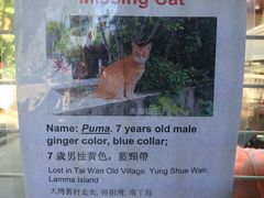 -南丫岛