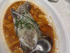清蒸老鼠斑-大东海海鲜酒楼(渔人码头总店)