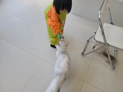 -怪兽屋·羊驼·猫咖·狗咖(俊华广场店)