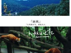-云南野生动物园