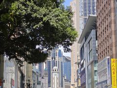 -重庆解放碑威斯汀酒店