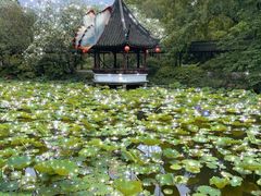 -上海醉白池公园