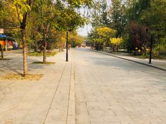 -杨柳青庄园