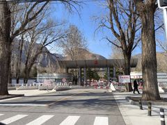 -北京龙庆四季香农家饭庄·灶台鱼·碳烤虹鳟鱼(龙庆峡店)