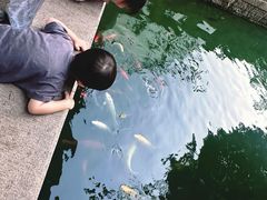 -苏州吴宫泛太平洋酒店