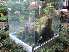 -花之城
