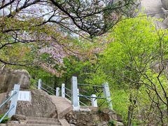 -崂山巨峰游览区