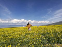 -青海湖国家重点风景名胜区