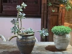 -煮雨小筑(斜塘老街店)