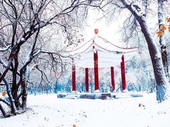 -黑龙江大学