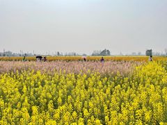 -中国天府农业博览园