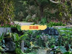 -东莞植物园