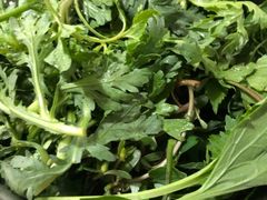 -黔府豆米火锅野菜馆(南马店)