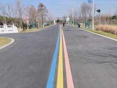 -羊山湖公园