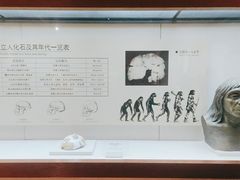 -临沂市博物馆