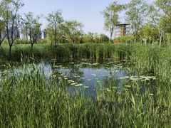 -永定河休闲森林公园
