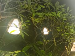 -厦门日月谷温泉渡假村