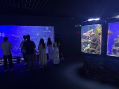 -江和美海洋公园