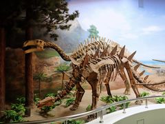 -延庆地质公园博物馆