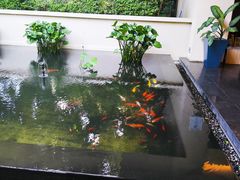 -普吉岛卡塔阿维斯塔诺富特酒店度假村