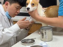 -安安宠医·臻爱宠物医院·宠保定点(营门口路分院)