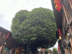 -糖潮糖水铺(省府店)