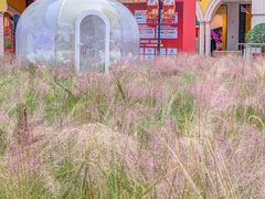 -首创奥特莱斯(西安店)