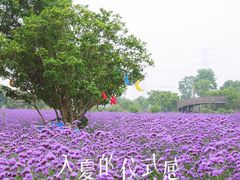 -上海杨姆庄园