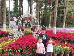 -广东茂名森林公园