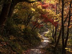 -白马涧龙池景区