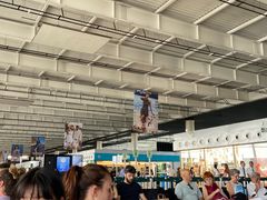 -卡塔尼亚-丰塔纳罗沙机场